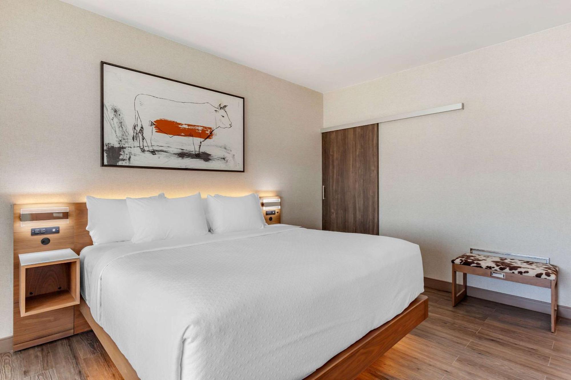 Cambria Hotel Richardson - Dallas Dış mekan fotoğraf