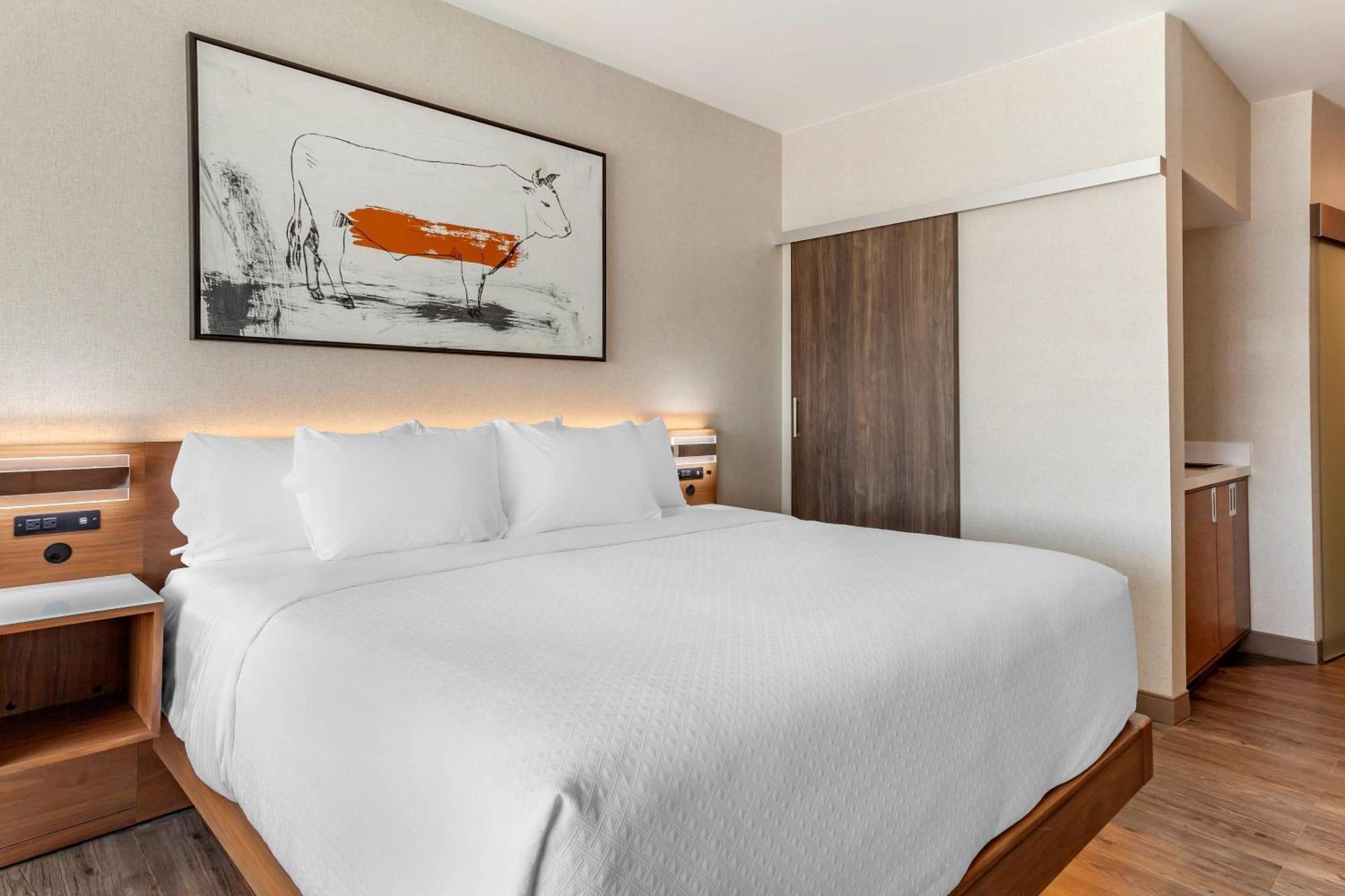 Cambria Hotel Richardson - Dallas Dış mekan fotoğraf