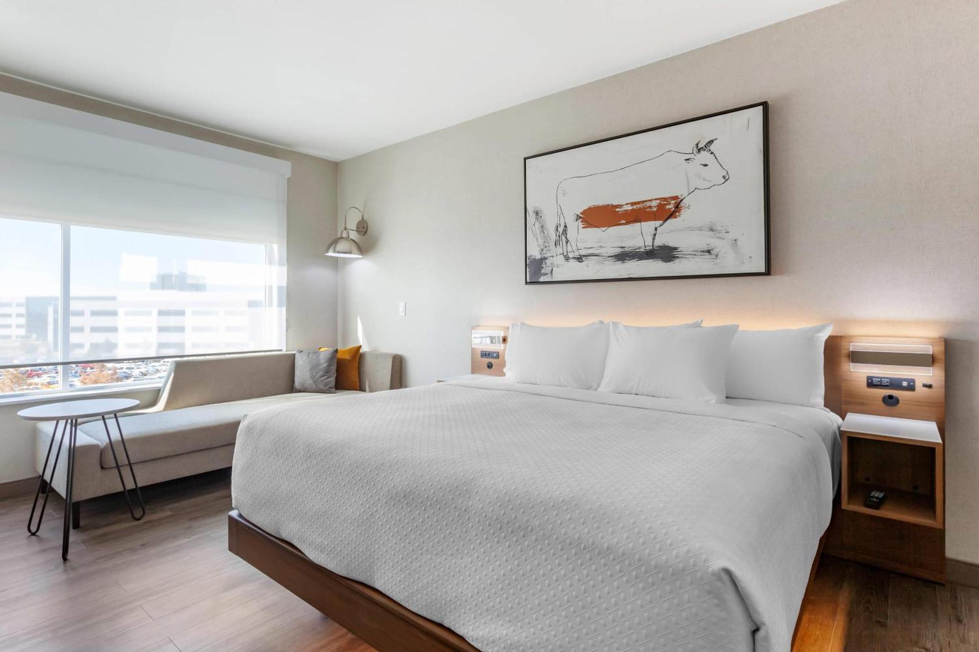Cambria Hotel Richardson - Dallas Dış mekan fotoğraf