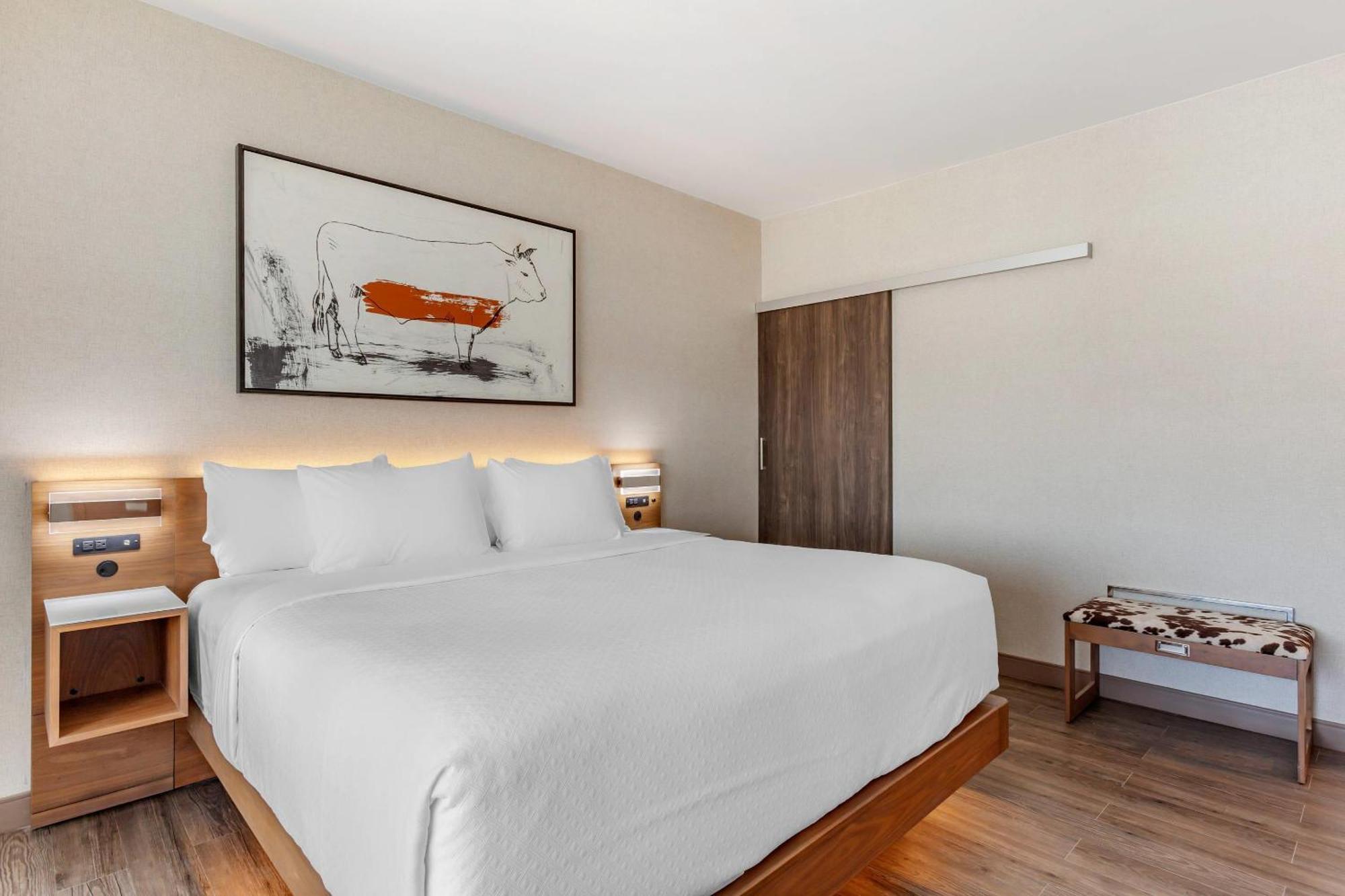 Cambria Hotel Richardson - Dallas Dış mekan fotoğraf
