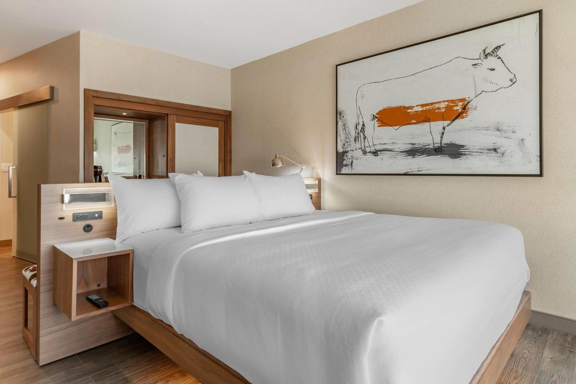 Cambria Hotel Richardson - Dallas Dış mekan fotoğraf