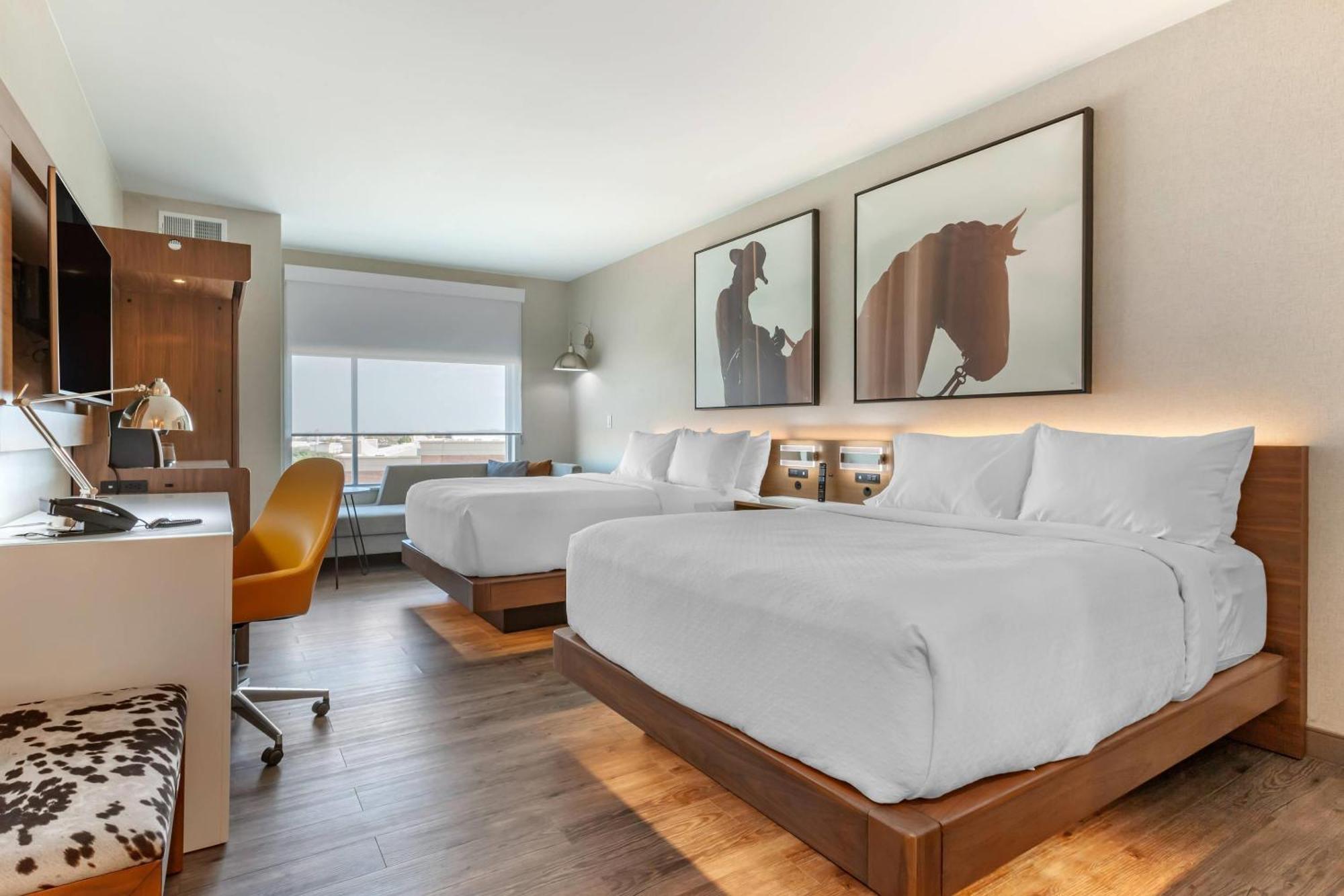 Cambria Hotel Richardson - Dallas Dış mekan fotoğraf